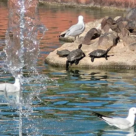 Appartement Holidays In Torreveja, *